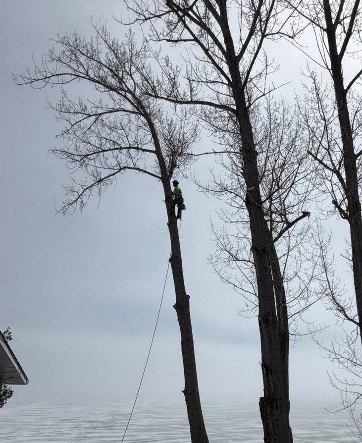 Spruced Up Tree Service Sudbury